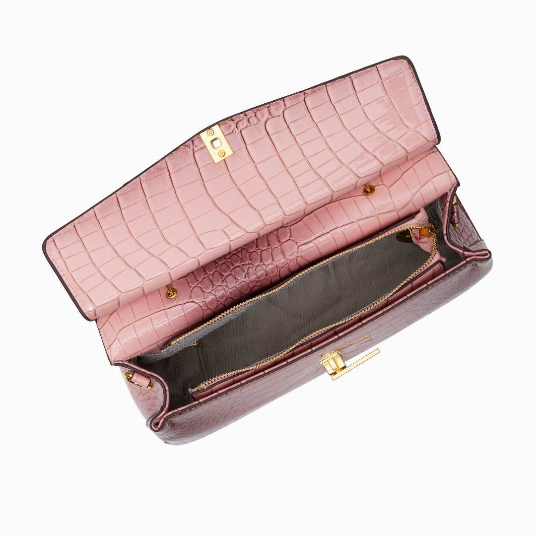 Alice's Case